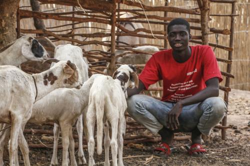 Saidou with his livestock