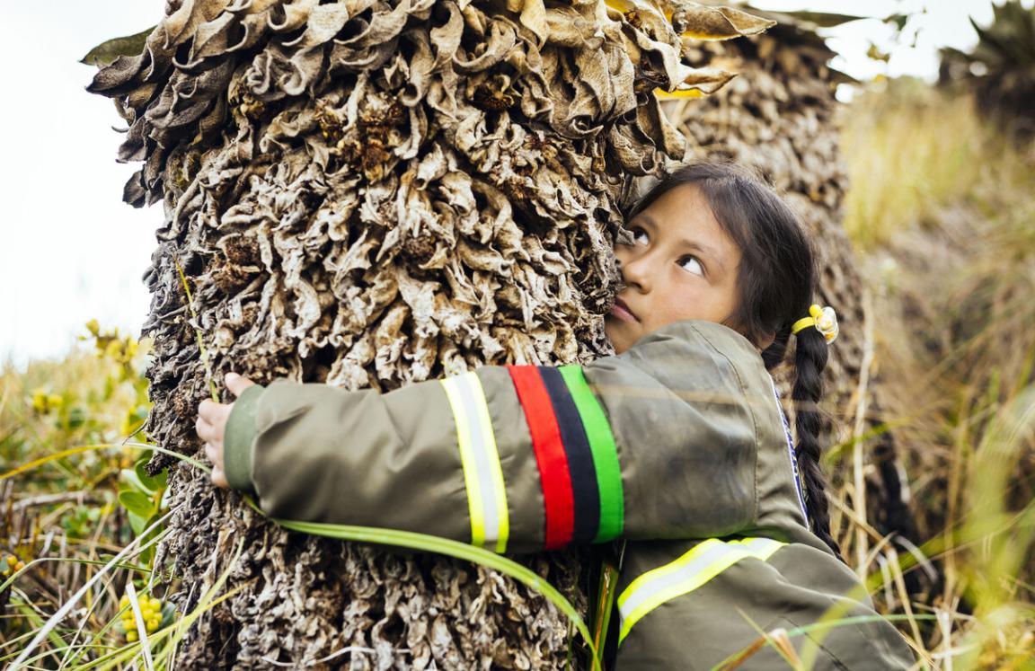 Photo shows an indigenous Colombian nature defender hugging a tree