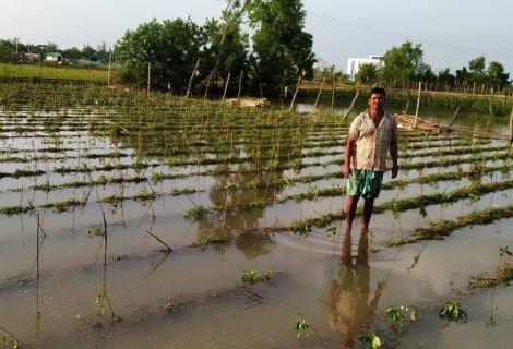 A farmer stands in his flooded field assessing damage to his crops caused by Cyclone Bulbul