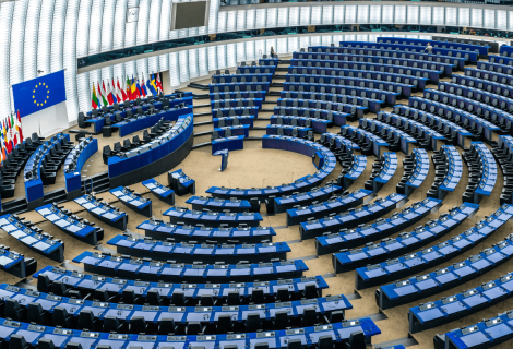 The European Parliament