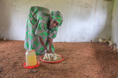 Fatou with some of her chicks: